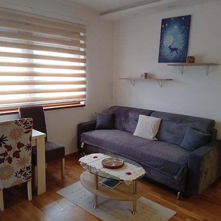 Iva Apartment Zlatibor Luaran gambar