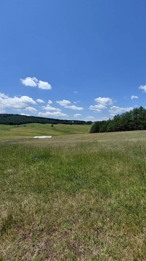 Iva Apartment Zlatibor Luaran gambar